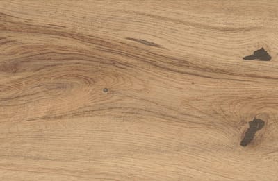 Icon Oak Forest