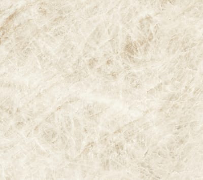 Taj Mahal White