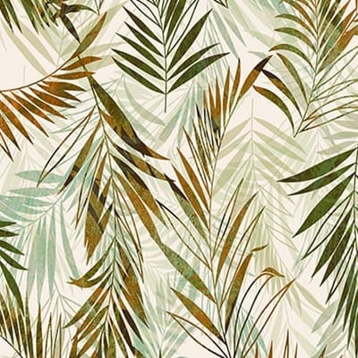 Areca