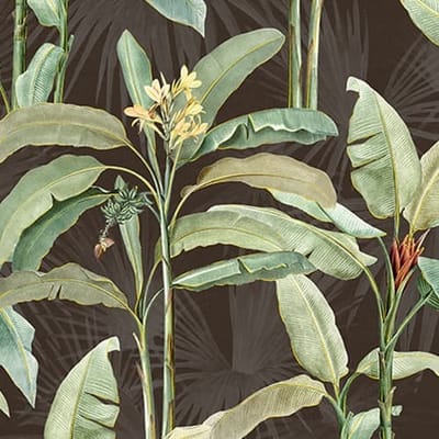 Botanical