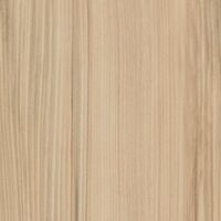 ulmus