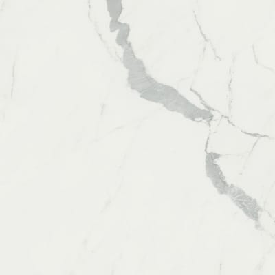 Anima Statuario Venato