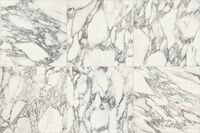 arabescato white