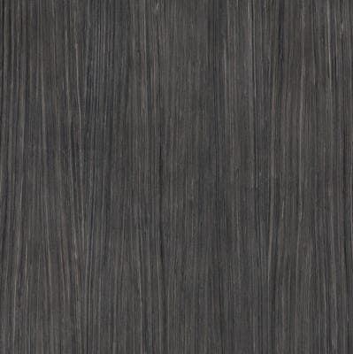 Plank 06