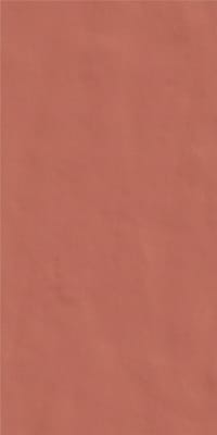 14 Arancio