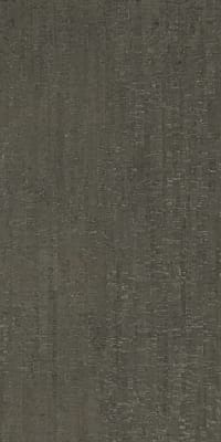 Modulo Platino