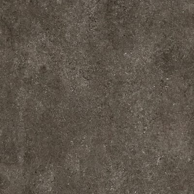 Brown Fossil