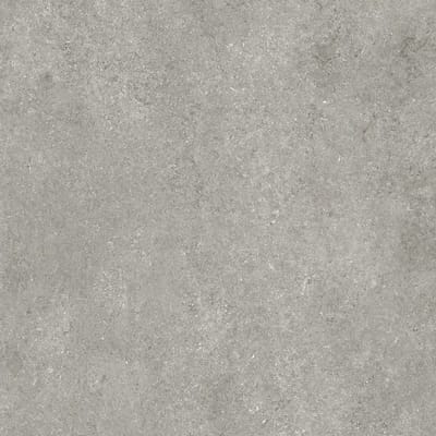 Grey Fossil