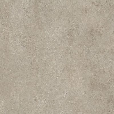 Ivory Fossil