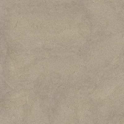 Taupe Dust