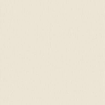Texture Canvas Beige