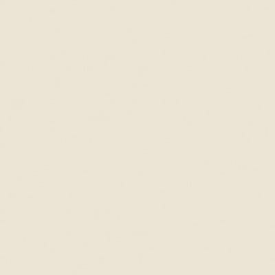 Texture Naturale Beige