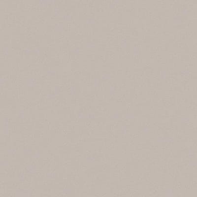 Texture Naturale Taupe