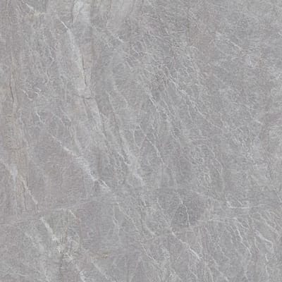 Oyster Grey