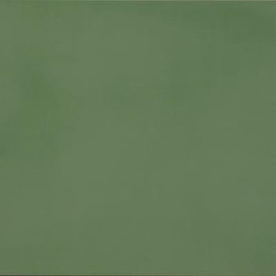 R- Evolution Green
