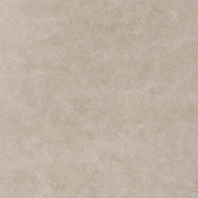 Timeless Taupe