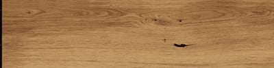 Sequoia