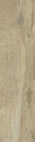 elm
