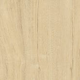 ELM