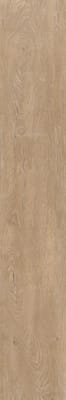 Iroko
