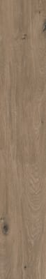 Teak