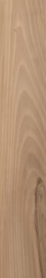 Blonde Walnut