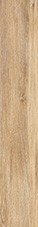 cinnamon