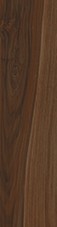 cinnamon