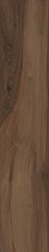 dust