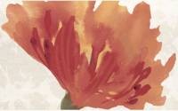 flor fuego