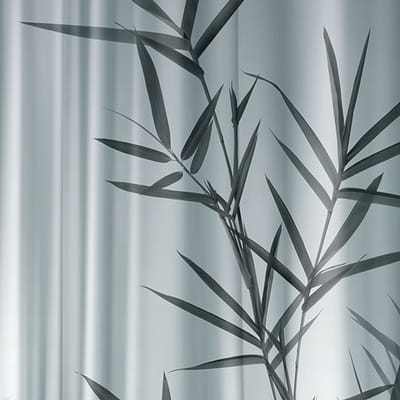 BAMBOO