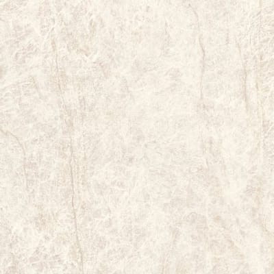 Taj Mahal White