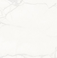 calacatta white