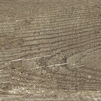 cassero legno