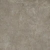 taupe gy313