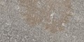 rust grey