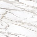 calacatta gold canova