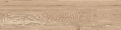Larch