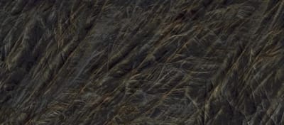 Vitrum Black