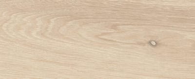 Rovere Pallido