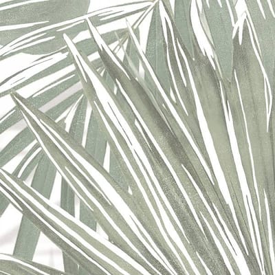 COLOR MOOD TROPICAL