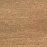 rovere