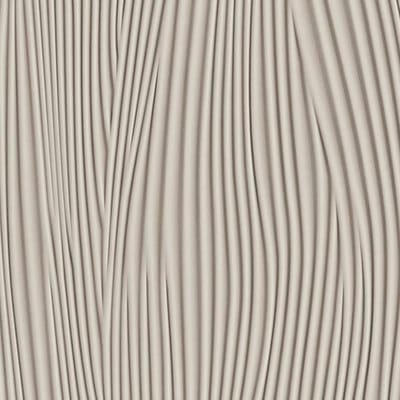 WAVE FOSSIL