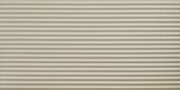 avorio  1