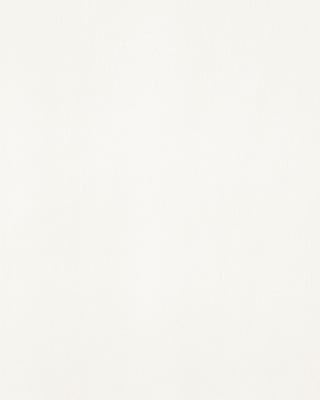 Titanium White