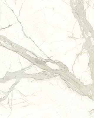 White Calacatta