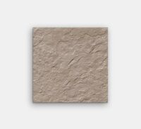 parana taupe