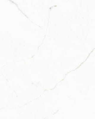White Calacatta