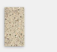 venice beige