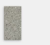 venice grey